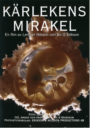 Kärlekens Mirakel