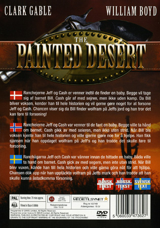 Painted Desert - 2