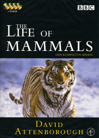 Life of Mammals