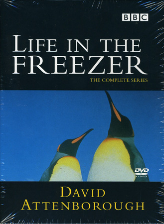Life In the Freezer
