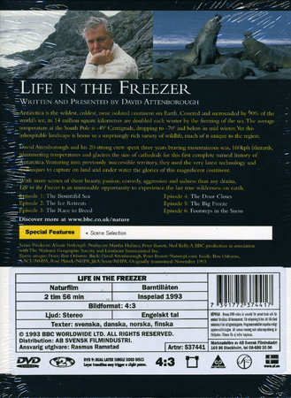 Life In the Freezer - 2