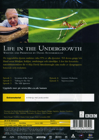 Life In the Undergrowth - 2