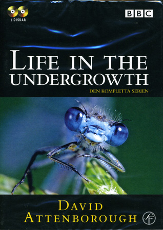 Life In the Undergrowth
