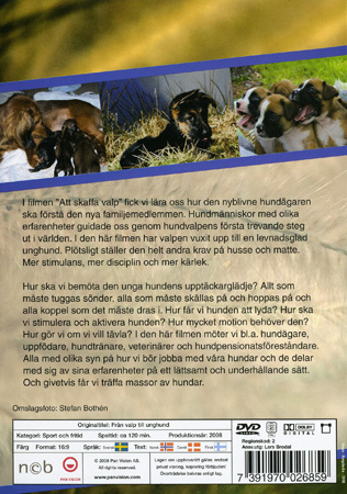 Från Valp Till Unghund - 2