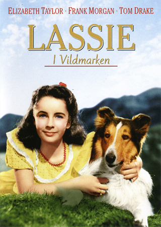 Lassie I Vildmarken