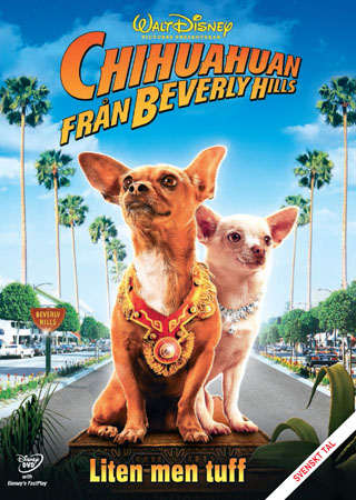 Chihuahuan Från Beverly Hills