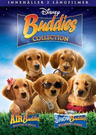 Buddies Box (2-disc)