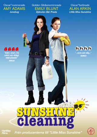 Sunshine Cleaning