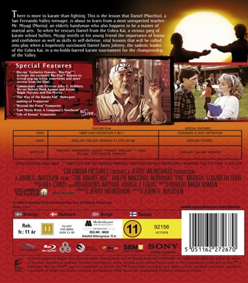 Karate Kid (Blu-ray) - 2