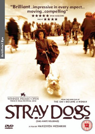 Stray Dogs (ej svensk text)