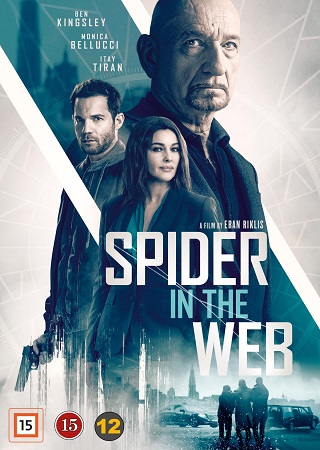 Spider In the Web