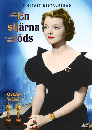 En Stjärna Föds