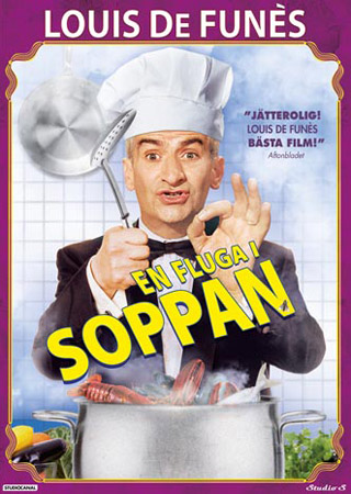 En Fluga I Soppan