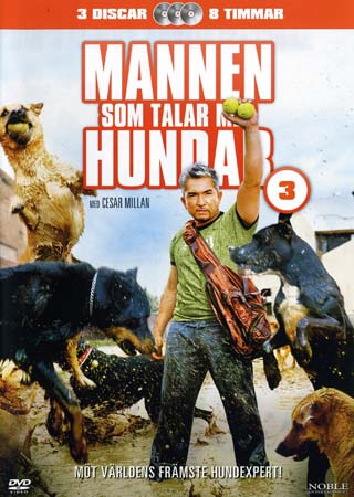 Mannen Som Talar Med Hundar 3