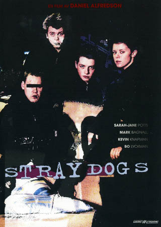 Straydogs