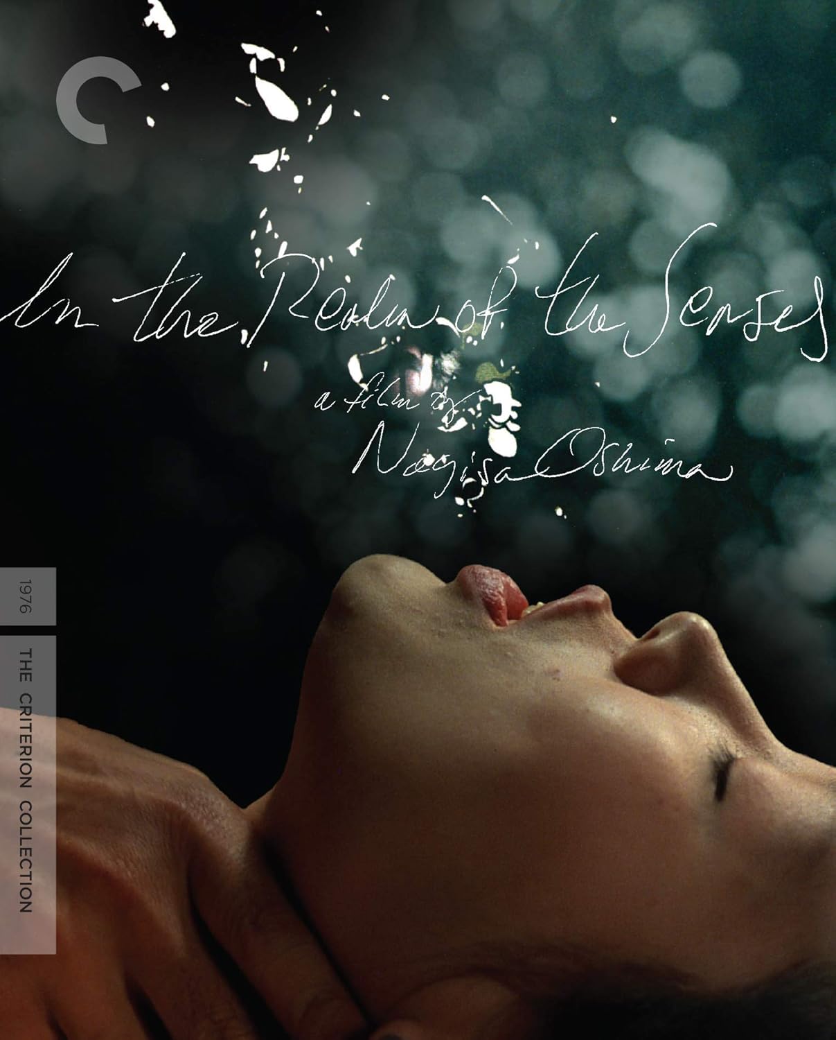 In the Realm of the Senses (Criterion Collection) (ej svensk text) (Blu-ray)