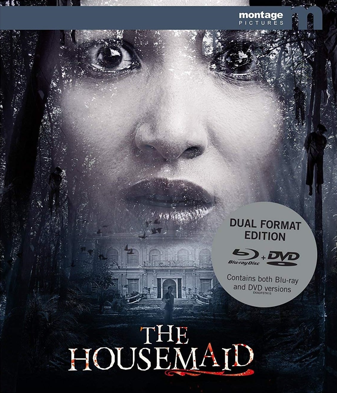 The Housemaid (ej svensk text) (Blu-ray + DVD)