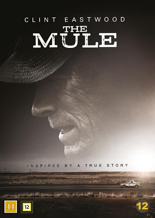 Mule