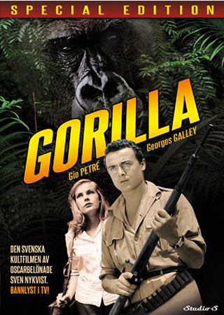 Gorilla