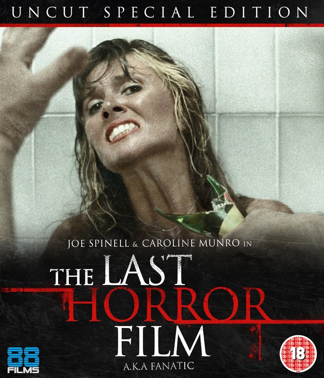 Last Horror Film (ej svensk text) (Blu-ray)
