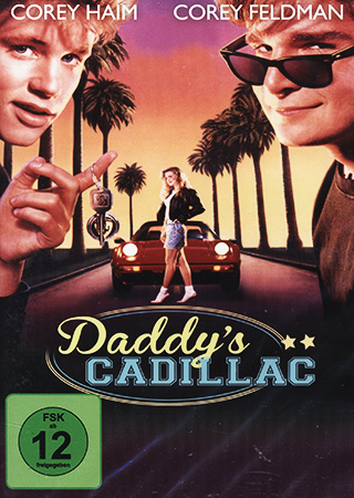 License To Drive (ej svensk text)