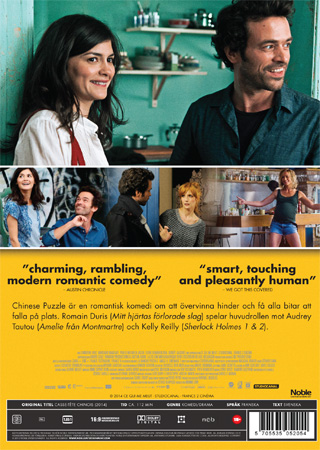 Chinese Puzzle - 2