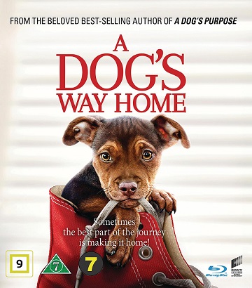A Dog's Way Home (Blu-ray)