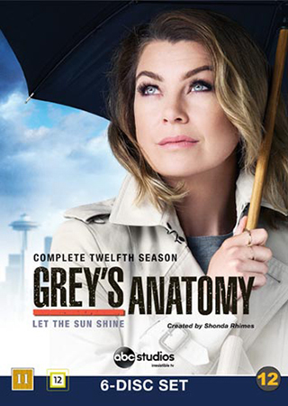 Grey's Anatomy - Säsong 12