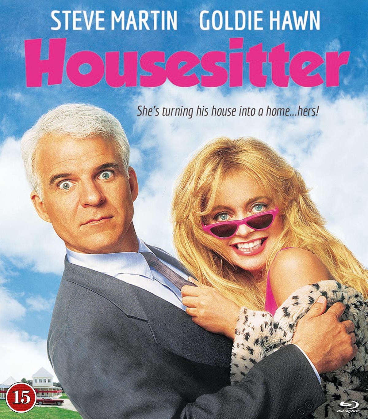 Housesitter (Blu-ray)