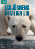 Isbjörnens Hemliga Liv (BBC Earth)