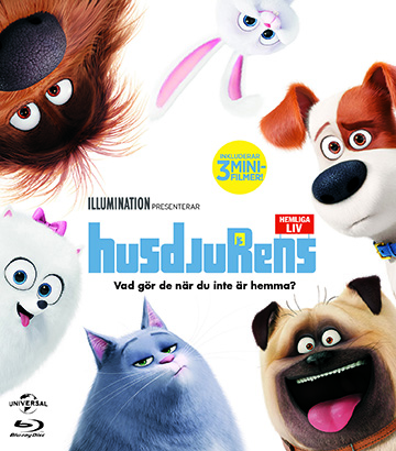 Husdjurens Hemliga Liv (Blu-ray)