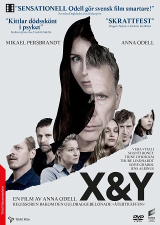 X & Y