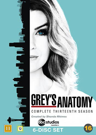 Grey's Anatomy - Säsong 13