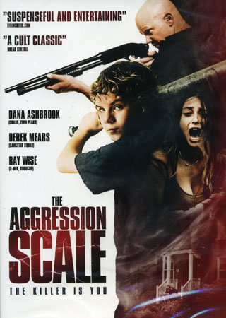 The Aggression Scale