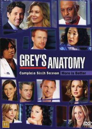 Grey's Anatomy - Säsong 6