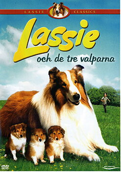 Lassie Och De Tre Valparna (Begagnad)