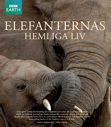 Elefanternas Hemliga Liv (BBC) (Blu-ray)