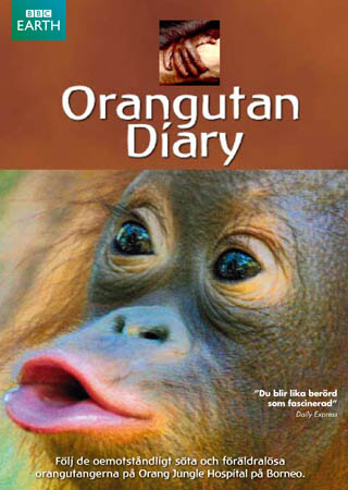 Orangutan Diary - Säsong 1 (BBC Earth)