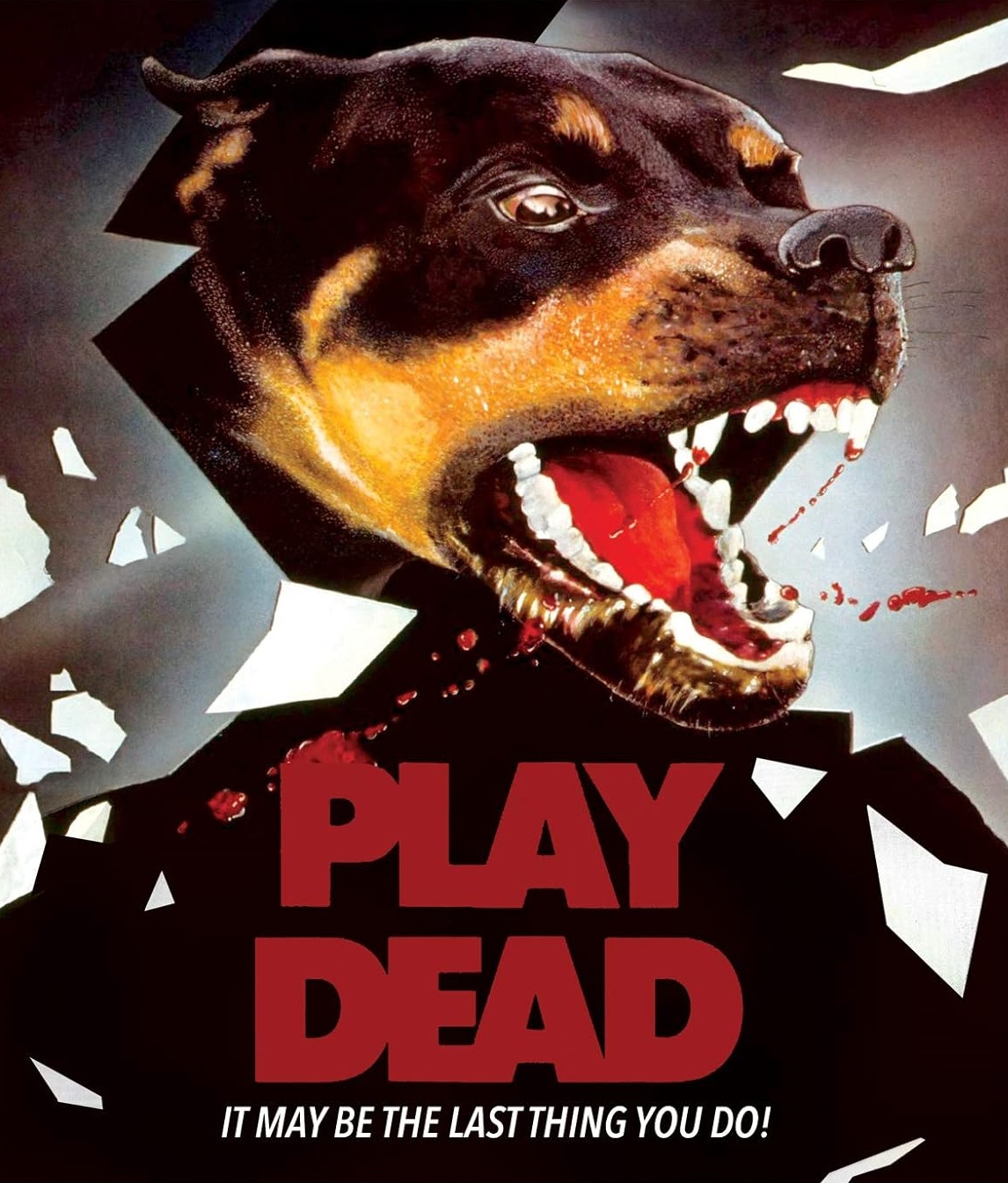 Play Dead (ej svensk text) (Blu-ray + DVD)