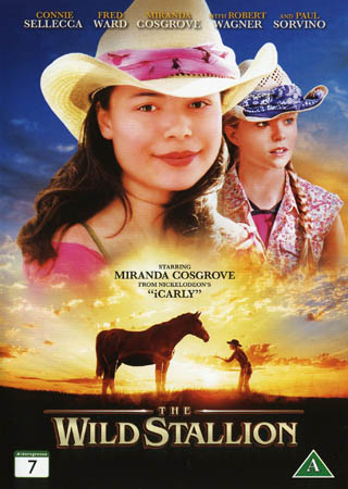 Wild Stallion