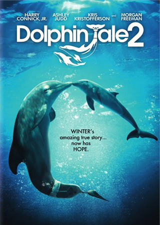Dolphin Tale 2