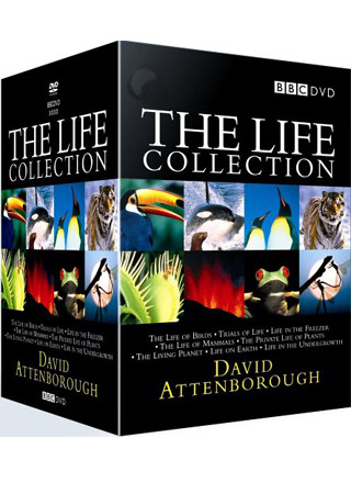 Life Collection (BBC) (24-disc) (ej svensk text)
