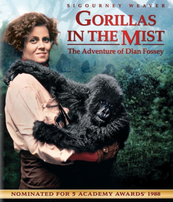 De Dimhöljda Bergens Gorillor (ej svensk text) (Blu-ray)