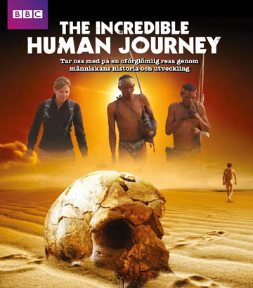 Incredible Human Journey (BBC) (2-disc) (Blu-ray)