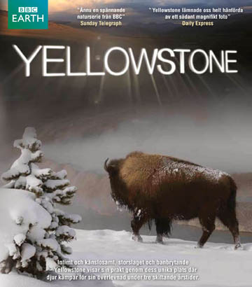 Yellowstone (BBC) (Blu-ray)