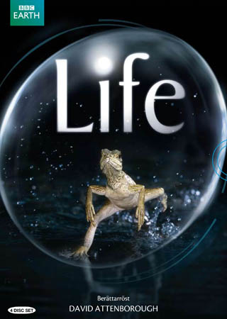 Life (BBC) (4-disc)