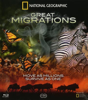 National Geographic - Great Migrations (2-disc) (Blu-ray)