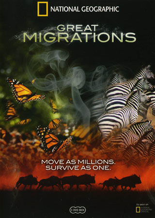 National Geographic - Great Migrations (3-disc)