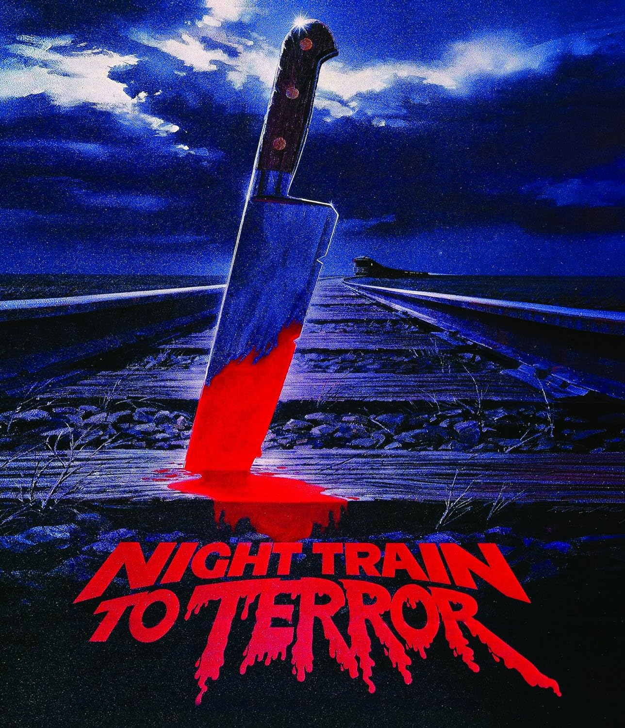 Night Train To Terror (ej svensk text) (Blu-ray + DVD)