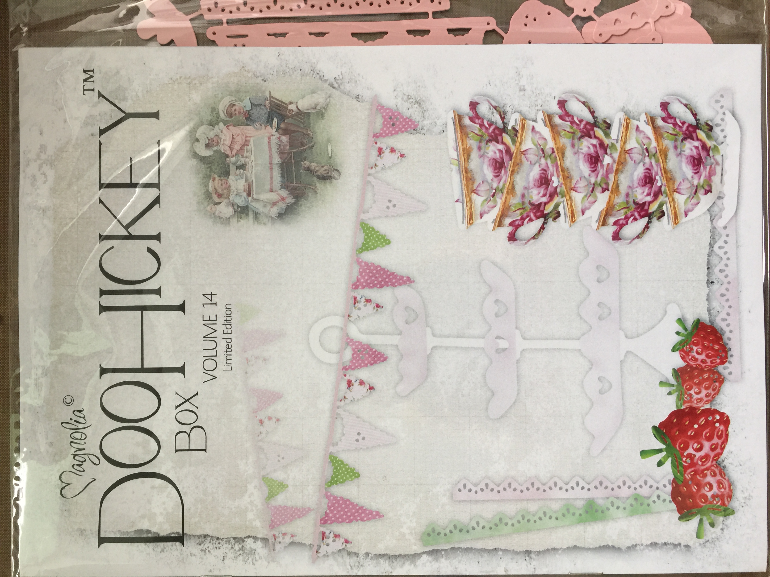 DooHickey Club Vol 14 
